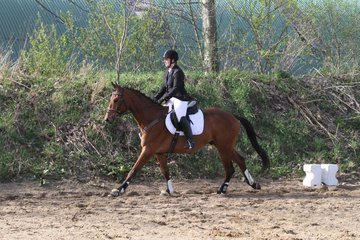 Bild 1366 - WBO-Turnier am 9.4.11